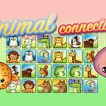 Animal Connection