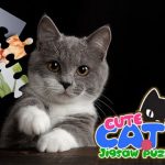 CUTE CATS JIGSAW PUZZLE