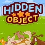 Hidden Object