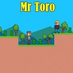 Mr Toro